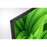 Sony KD32W800 81,3 cm (32") HD Smart TV Wifi Noir 32" LED Noir, 81,3 cm (32"), 1366 x 768 pixels, LED, Smart TV, Wifi, Noir