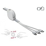 DeLOCK Câble de charge USB rétractable 3-en-1 Type-A Blanc/Argent, 1 m