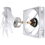 ASUS ProArt PF120 ventilateur de boîtier Blanc, 120 x 120 x 28 mm