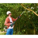 Bosch 06008B3101 tronçonneuse Noir, Vert, Élagueur Vert/Noir, 15 cm, 20 cm, 4 m/s, Noir, Vert, 60 L, Batterie