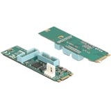 DeLOCK Convertisseur M.2 Key B+M connecteur > 4 x USB 5 Gbps Type-A, Extension de l’interface 
