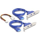 DeLOCK Convertisseur M.2 Key B+M connecteur > 4 x USB 5 Gbps Type-A, Extension de l’interface 