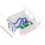DeLOCK Convertisseur M.2 Key B+M connecteur > 4 x USB 5 Gbps Type-A, Extension de l’interface 