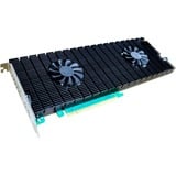 HighPoint Rocket 1508 8x M.2 Port vers PCIe 4.0 x16 NVMe HBA C, Carte d'interface 