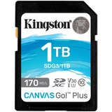 Kingston Canvas Go! Plus 1 TB SDXC, Carte mémoire Noir