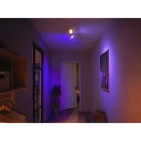 Philips Hue 929003808501, Lumière LED Blanc