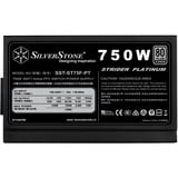 SilverStone , 750 Watt alimentation  Noir