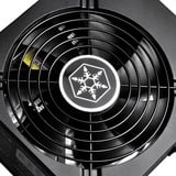 SilverStone , 750 Watt alimentation  Noir