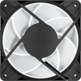 ARCTIC P12 Pro A-RGB LN ventilateur de boîtier Noir, 120 x 120 x 25 mm, PWM