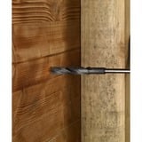 Bosch Mèches pour le lambrissage, Perceuse Perceuse, Foret hélicoïdal, 1,8 cm, 600 mm, Aluminium, Métal, Bois, 1 cm