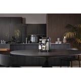 DeLonghi Magnifica Evo ECAM 290.83 TB, Machine à café/Espresso Titane/Noir