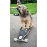 Muuwmi Lights Longboard GLOW ABEC 7 Pablo, Planche à roulettes Noir/Vert