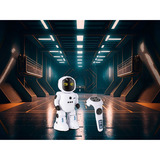 Revell RC Robot "Smart-R", Voiture télécommandée 