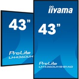iiyama ProLite LH4360UHS-B1AG, Affichage public Noir