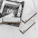 ADATA 32 Go DDR5-6000 (1x 32 Go) mémoire vive Blanc, AX5U6000C3032G-CLAWH, XMP 3.0