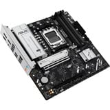 ASUS  carte mère socket AM5 