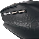 CHERRY Stream Mouse ULTIMATE, Souris Noir/cuivre