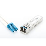 Digitus SFP+ 10G SM 1310nm 10Km compatible HP avec connecteur duplex LC et DDM, Émetteur-récepteur 