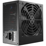 FSP HEXA 85+ PRO alimentation 550 watt Noir, 2x PCIe