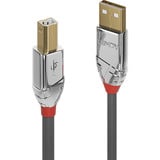 Lindy Câble USB 2.0 Type A vers B, Cromo Line Gris/chrome