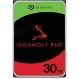 Seagate ST30000NT011, Disque dur 