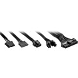 Sharkoon Rebel P10 alimentation 850 watt Noir, 4x PCIe