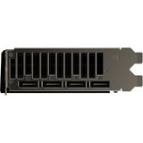 ASRock Intel® Arc Pro B60 Creator 24GB, Carte graphique 