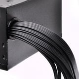 SilverStone SST-ET650-B v1.4 alimentation  650 watt Noir, 4x PCIe