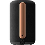 Sony SRS-RA3000 Enceinte portable stéréo Noir, Haut-parleur Noir, 2.0 canaux, 8 cm, 1,7 cm, Sans fil, A2DP,AAC,AVCTP,SBC,SPP, Enceinte portable stéréo