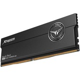 Team Group FFXD548G8000HC38EDC01, Mémoire vive Noir