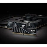 ADATA 16 Go DDR5-6000 (1x 16 Go) mémoire vive Noir, AX5U6000C4816G-SLABBK, XMP 3.0, EXPO