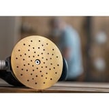 Bosch Expert Disques abrasifs C470, Feuille abrasive 5 pièce(s)