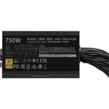 Cooler Master MWE 750 V3 Black alimentation  750 watt Noir, 1x 12V-2x6, 4x PCIe