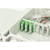 Digitus Boîtier de connexion FTTH/FTTB - équipé, OS2 12 fibres, Boîte de raccordement Gris