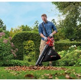 EINHELL Aspirateur/souffleur de feuilles sans fil VENTURRO 18/210 Rouge/Noir