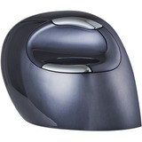 Evoluent Evoluent D Small Wireless, Souris Noir/Argent, Droitier, Conception verticale, Laser, RF sans fil, 3200 DPI, Noir
