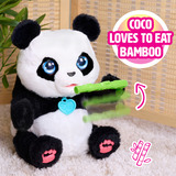 Just Play FurReal - Coco De Rollende Panda, Peluche Garçon/Fille, 4 an(s), Sonore