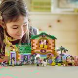 LEGO 42654, Jouets de construction 