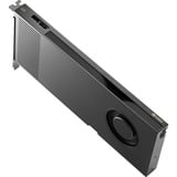 PNY NVIDIA RTX PRO 4000 Blackwell 24GB SB, Carte graphique En vrac