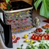 Rommelsbacher Mini déshydrateur DA 450, Séchoir automatique Acier inoxydable/Noir