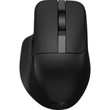 ASUS ProArt Mouse MD301, Souris Noir
