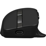 ASUS ProArt Mouse MD301, Souris Noir