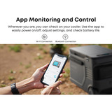 Anker SOLIX EverFrost 2 glacière 40 L Electrique Noir Gris/Noir, Noir, 2 roue(s), Noir, 40 L, -20 - 20 °C, 45 dB