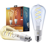 Govee Ampoule Edison intelligente E27 500lm (lot de 2), Lampe à LED 