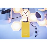 Intenso Powerbank F10000 Jaune Jaune