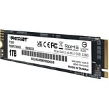 Patriot  SSD 