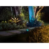 Philips Hue White & Color Ambance Lily XL Outdoor Spot Erweiterung, Lumière LED Noir
