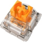 Razer Orange Switch-Set, Switch pour clavier Orange/transparent