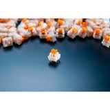 Razer Orange Switch-Set, Switch pour clavier Orange/transparent