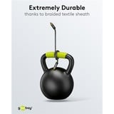 goobay Câble Toslink Plus Noir/Argent